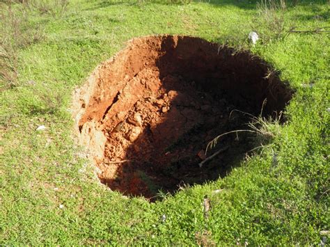 무료 이미지 나무 물 잔디 록 구멍 곤충 자연스러운 흙 지질학 둥근 돌 싱크대 2560x1920