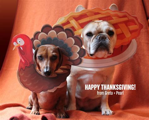 130 Best Ideas For Coloring Cute Happy Thanksgiving Images