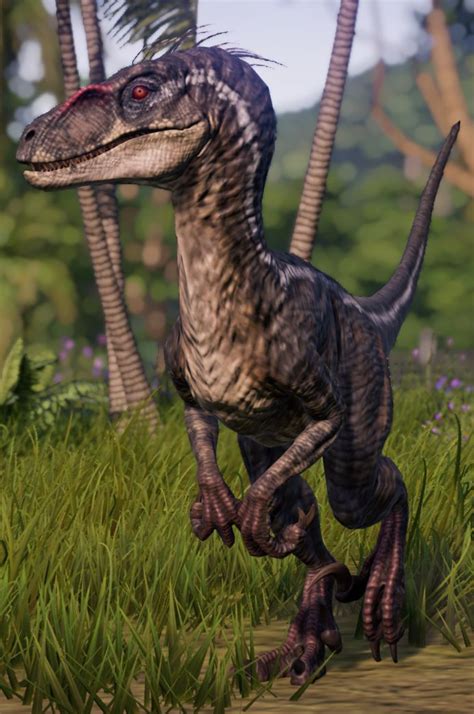 Velociraptor Jurassic World Evolution Wiki Fandom Jurassic World Dinosaurs Prehistoric
