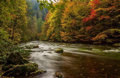Rivers Forests Germany Autumn Harz Nature Wallpapers Hd Desktop