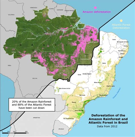 Deforestation Of The Amazon Rainforest And Atlantic Forest In Brazil