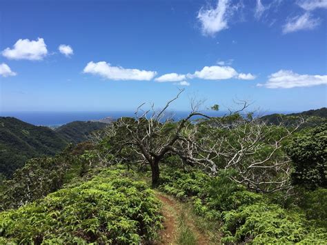 The 10 Best Honolulu Hiking Trails Updated 2024 Tripadvisor