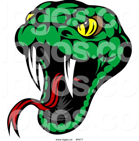 Viper Snake Head Clipart 10 Free Cliparts Download Images On