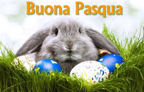 Biglietti per la pasqua, biglietti di auguri buona pasqua divertenti, auguri buona pasqua gratis. Immagini di Buona Pasqua 2020: le più belle per gli auguri su WhatsApp