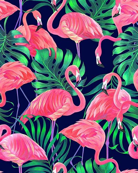 Tropical Flamingo Wallpapers 4k Hd Tropical Flamingo Backgrounds On
