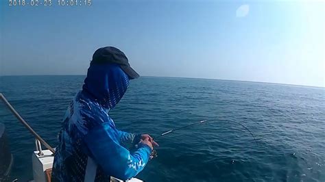Arabian Gulf Catfish 7kg Youtube