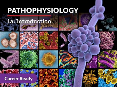 Pathophysiology 1a Introduction Edynamic Learning