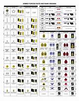 Military Rank Structure Photos