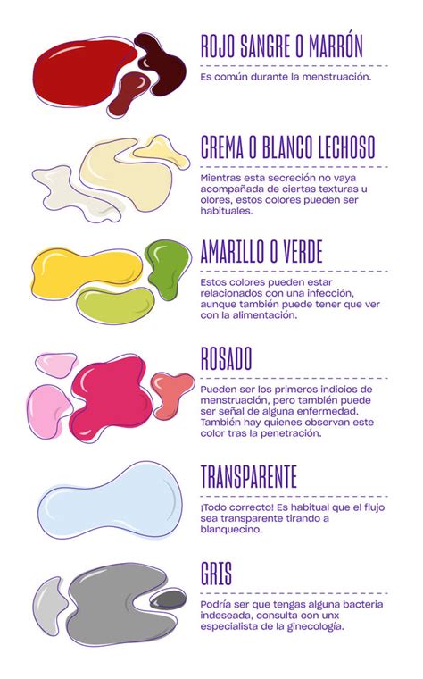 Tipos De Fluidos De Vulva Y Su Significado Platanomelón