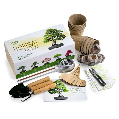 Buy Grow Your Own Bonsai Tree Kit By Garden Pack 5 Different Bonsai