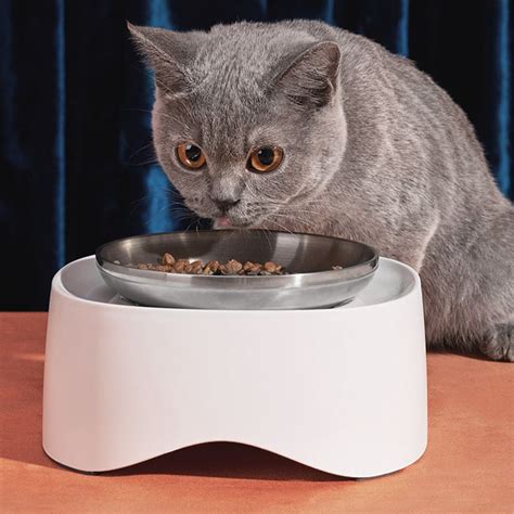 Laifug Cat Food Bowl Elevated Pet Feeder Raised Food Or Water Bowl With