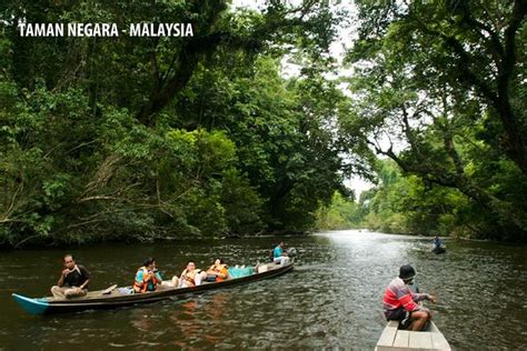 Day Trip To Taman Negara National Park Of Malaysia Triphobo