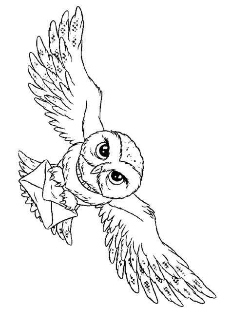 Hedwig harry potter coloring pages. Hedwig Harry Potter's owl coloring page | Harry potter coloring pages, Harry potter owl, Harry ...