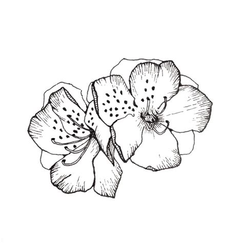 See more ideas about grayscale, drawings, grayscale coloring. February Flower Drawing Challenge - Moongirl Art