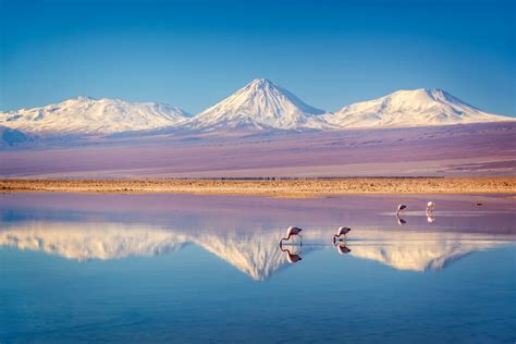 Immersive Chile Santiago And Atacama Desert 7 Days Kimkim