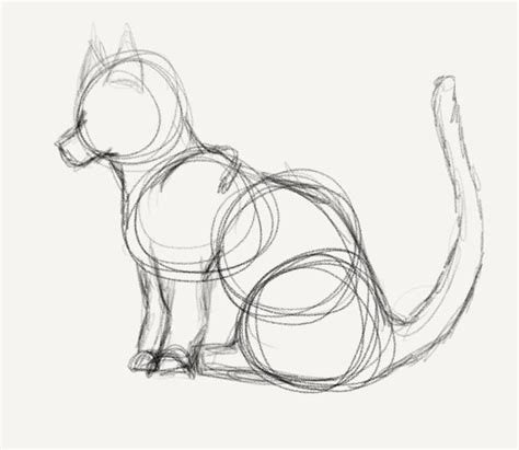 Cat Base Sketch By Kittyfelidale On Deviantart