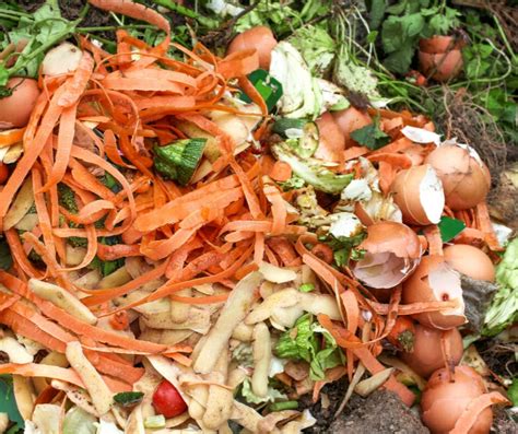 15 Tips To Reduce Food Waste The Hobson Homestead