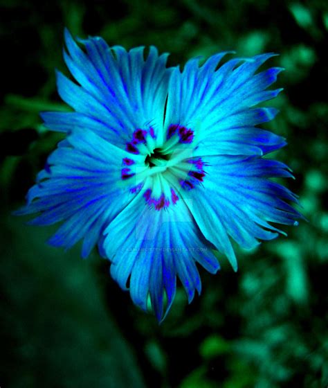 Neon Blue Flower By Kawaiikitteh On Deviantart
