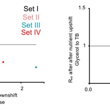 Redundant Transfer Rna Trna Gene Copies Are Beneficial During Download Scientific Diagram