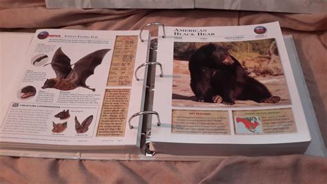 Wildlife Explorer Educational Series 3 Full Binders Over 770 Cards