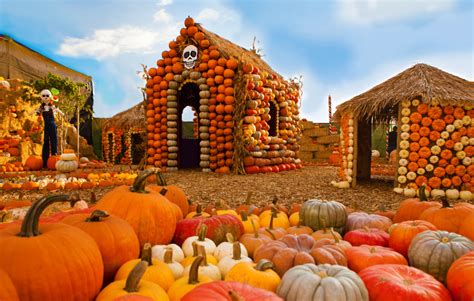 Taste & see for yourself. The Best Pumpkin Patches to Get Halloween-Ready in LA and ...