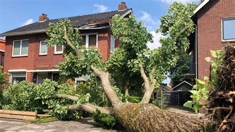 Samenstelling van nood en weer. Tientallen bomen omgewaaid tijdens noodweer in Noordoost ...
