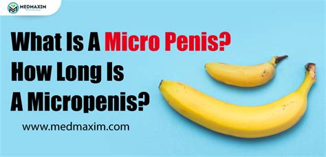 What Is A Micro Penis How Long Is A Micropenis Medmaxim