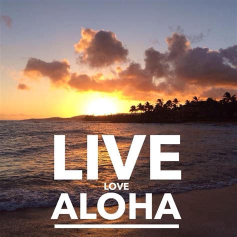 Live your life with Aloha. | Hawaii quotes, Hawaiian quotes, Hawaii