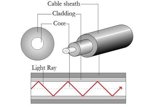 4 Fiber Optic Cable Components Download Scientific Diagram