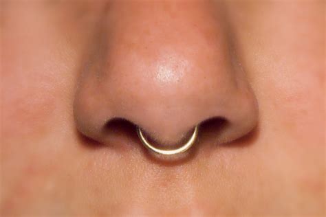 Fake Septum Ring 18 Gauge Septum Nose Ring Cuff © All Etsy