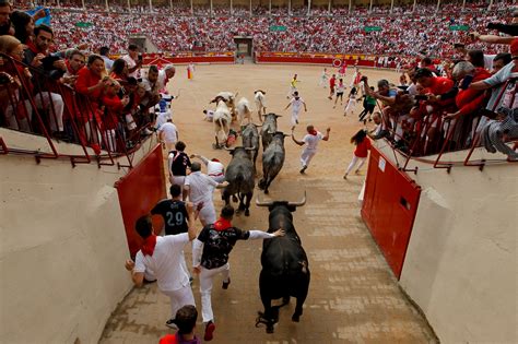 Las Corridas De Toros En Peligro De Extinción En España Diario