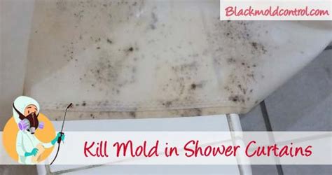 Mix 1/2 cup of baking. How To Remove Black Mold in Shower Curtains
