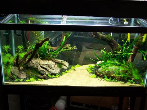 Use them in planted tanks, freshwater, and saltwater aquariums. Natural - http://www.okeanosgroup.com/blog/wp-content ...