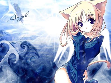 cute anime cat wallpapers top free cute anime cat backgrounds 18605 hot sex picture