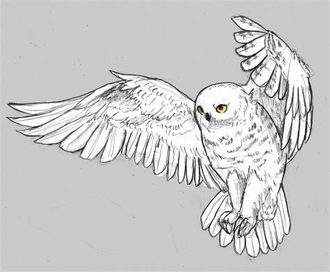 Snowy Owl By Angiemyst On Deviantart