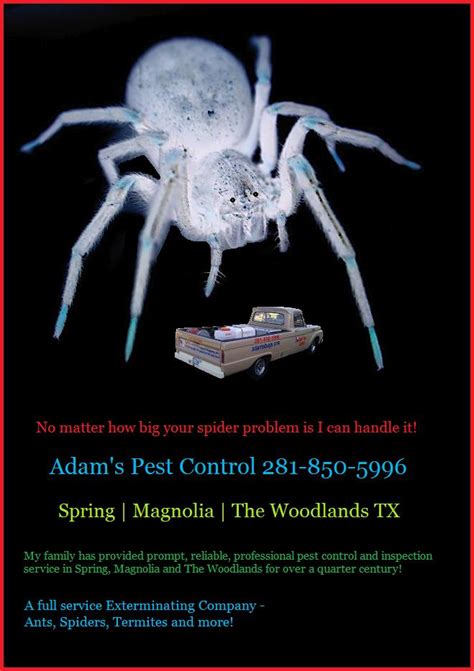 Since 1984, hughes pest control has helped thousands of satisfied customers and has gained the support of several service and trade organizations. Pest Control Companies Spring TX - Pest Control Spring TX
