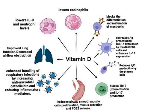Cureus Therapeutic Potential Of Vitamin D In Management Of Asthma A