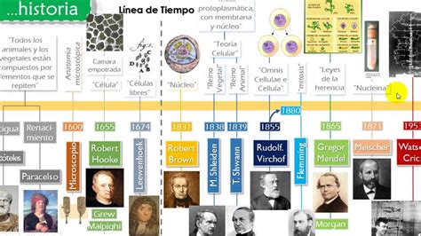 La Línea Del Tiempo Del Microscopio Y La Célula Evolución De La