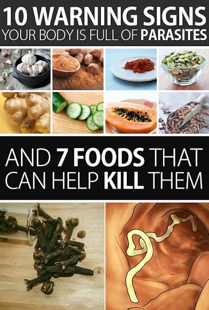 10 Warning Signs Your Body Is Full Of Parasites And 7 Foods That Can
