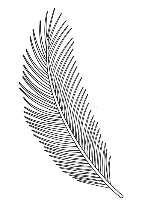 Palm Branch Leaf Line Doodle Vector Illustration Stock Vector