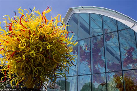 Chihuly Garden And Glass Museu Do Vidro Em Seattle Mila Em Seattle