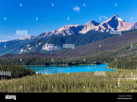 Hamilton Spur Mountain Range Over Emerald Lake From Yoho Pass Trail