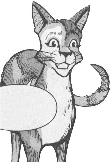 ⋆ουσία⋆ :milky_way i only went to 17 years because a normal wild cat probably only live to about 13 moons. Springschweif (WC) | Warrior Cats Wiki | FANDOM powered by ...