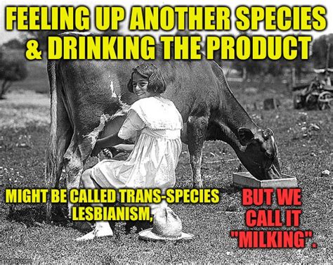 trans species memes and s imgflip