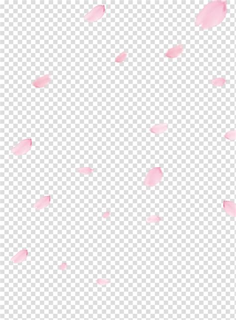 Cherry Blossom Petals Png Transparent PNG Png Collections At Dlf Pt