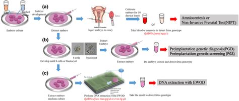 Each Fetal Genetic Testing Methods A Amniocentesis And Non Invasive