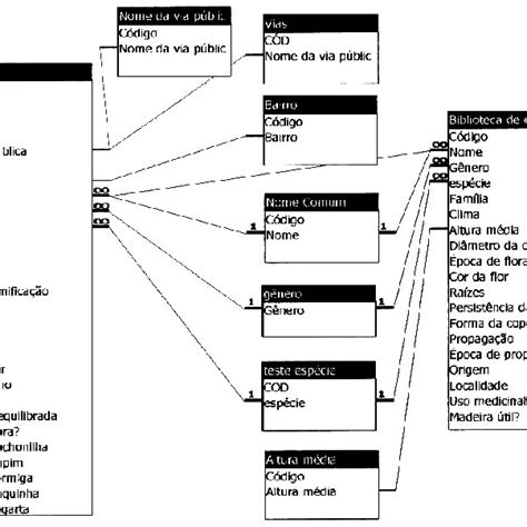 Relacionamentos linhas de ligação entre as entidades ou tabelas Download Scientific Diagram