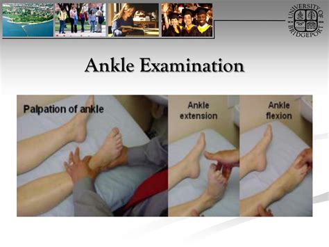 Ppt Ankle And Foot Orthopaedic Tests Orthopedics And Neurology Dx 612