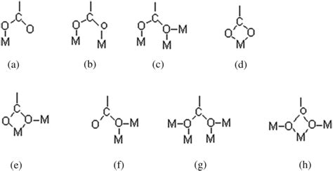 Carboxylic Acid With Different Coordination Modes A Single Tooth