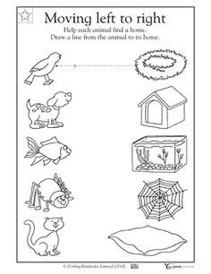 animal worksheet   animal homes worksheet  preschoolers